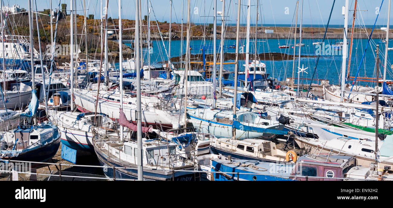 Yachts and pleasure boats laid up for the winter at Holyhead Marina