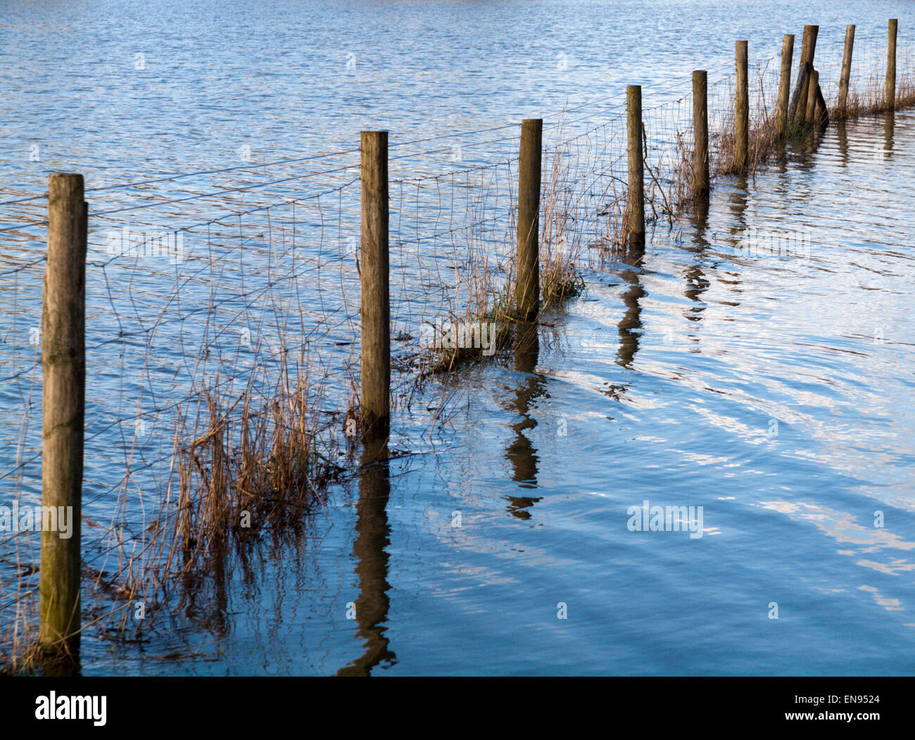 A fence in a flooded field Stock Photo