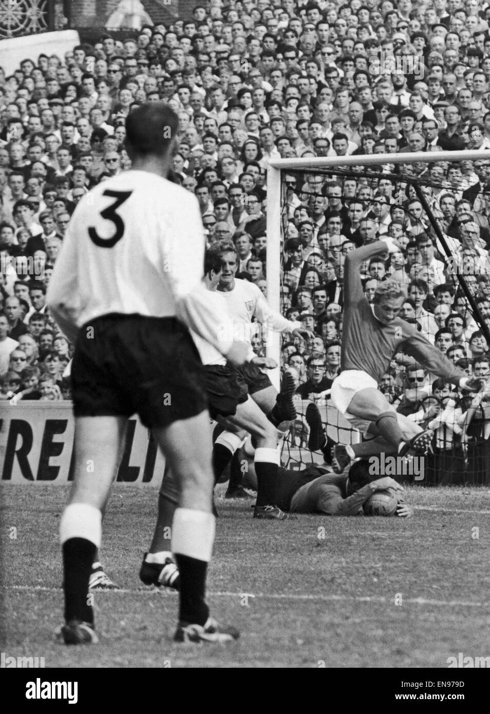 English League Division One match at Craven Cottage. Fulham 2 v. Manchester United 1. Denis Law of Manchester United dives over the Fulham goalkeeper Tony Macedo. 5th September 1964. Stock Photo