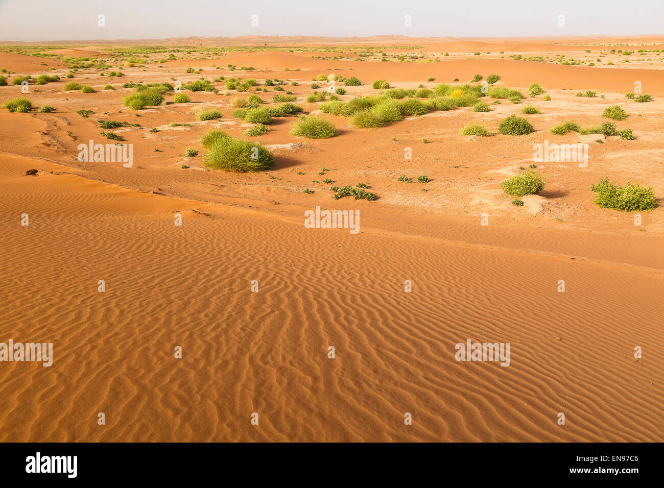 Sand-dunes, Erg Chegaga. Sahara desert. Morocco. Africa. Stock Photo