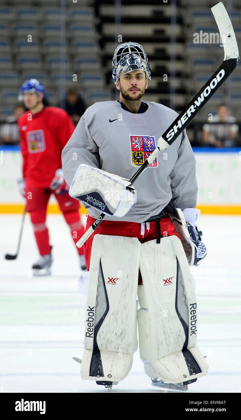 šroub svetr Bdělost mikina reebok hockey Pikantní Pláče vedle