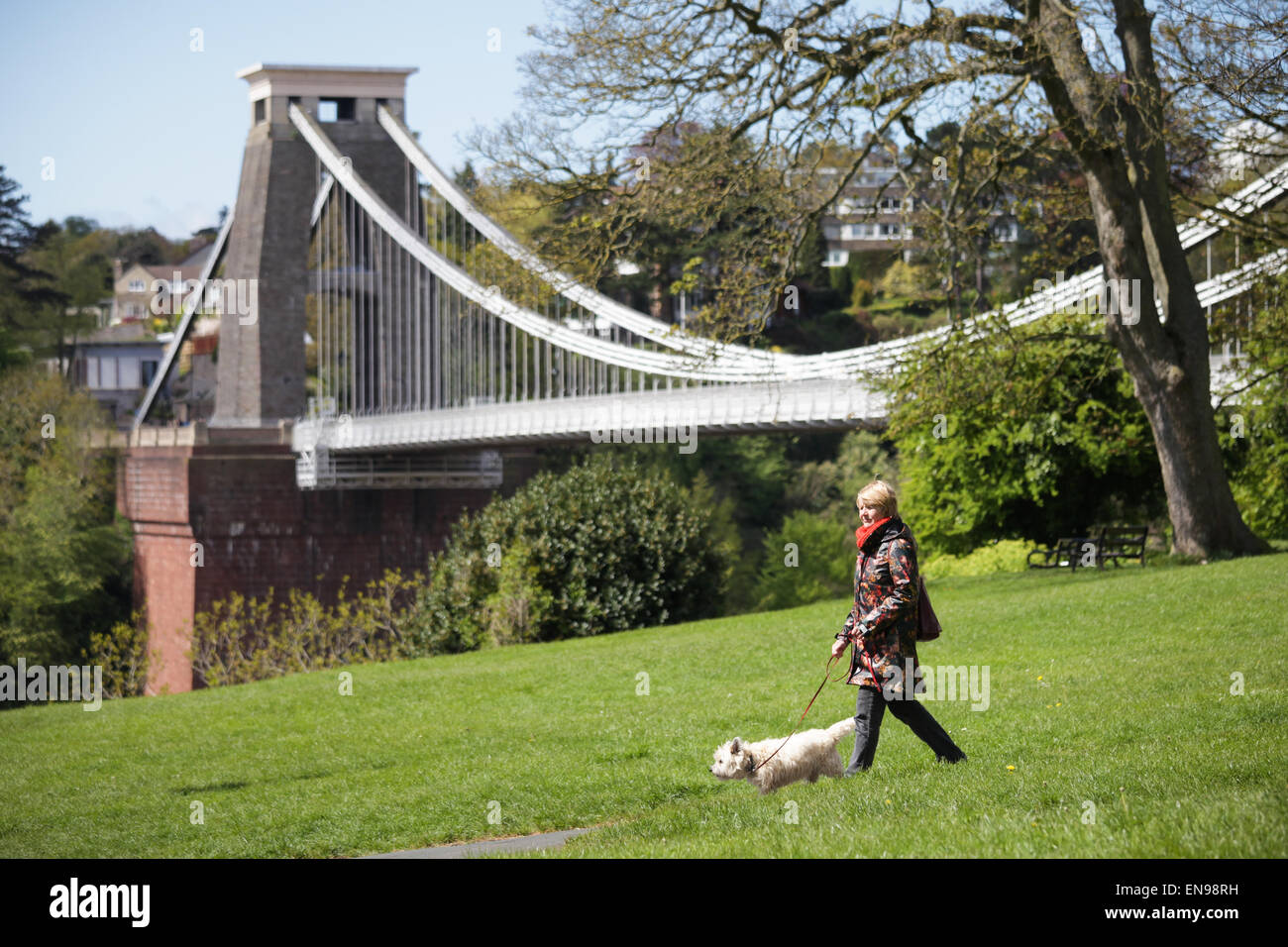 Clifton suspension bridge trees hi-res stock photography and images - Alamy