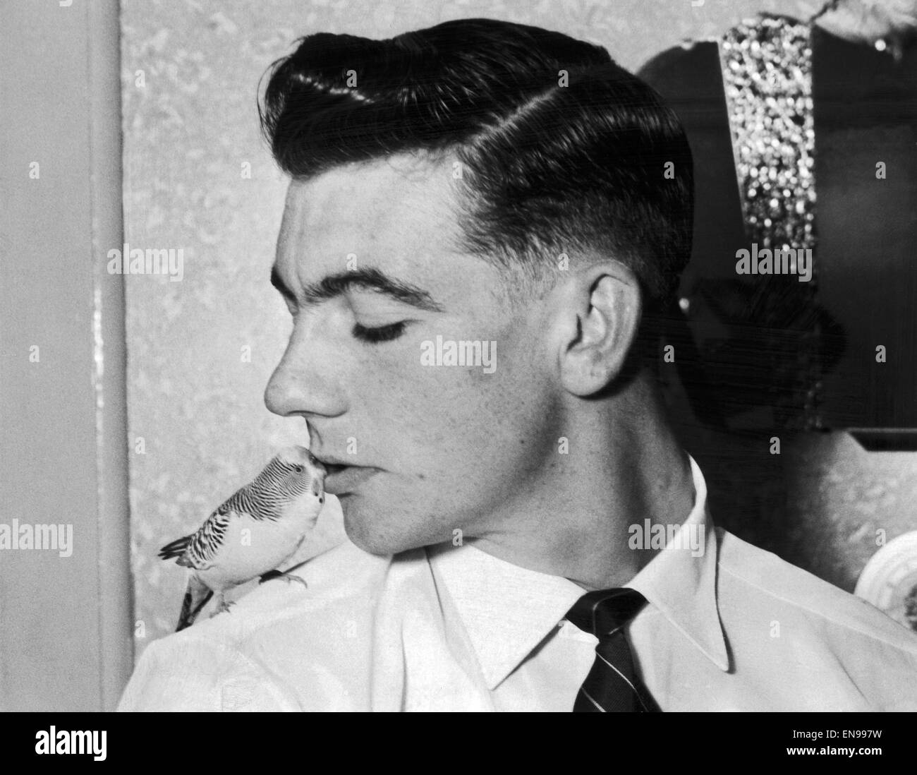 Johnny Haynes of Fulham FC with his pet Budgie 'Bimbo' 16th October 1955 Stock Photo