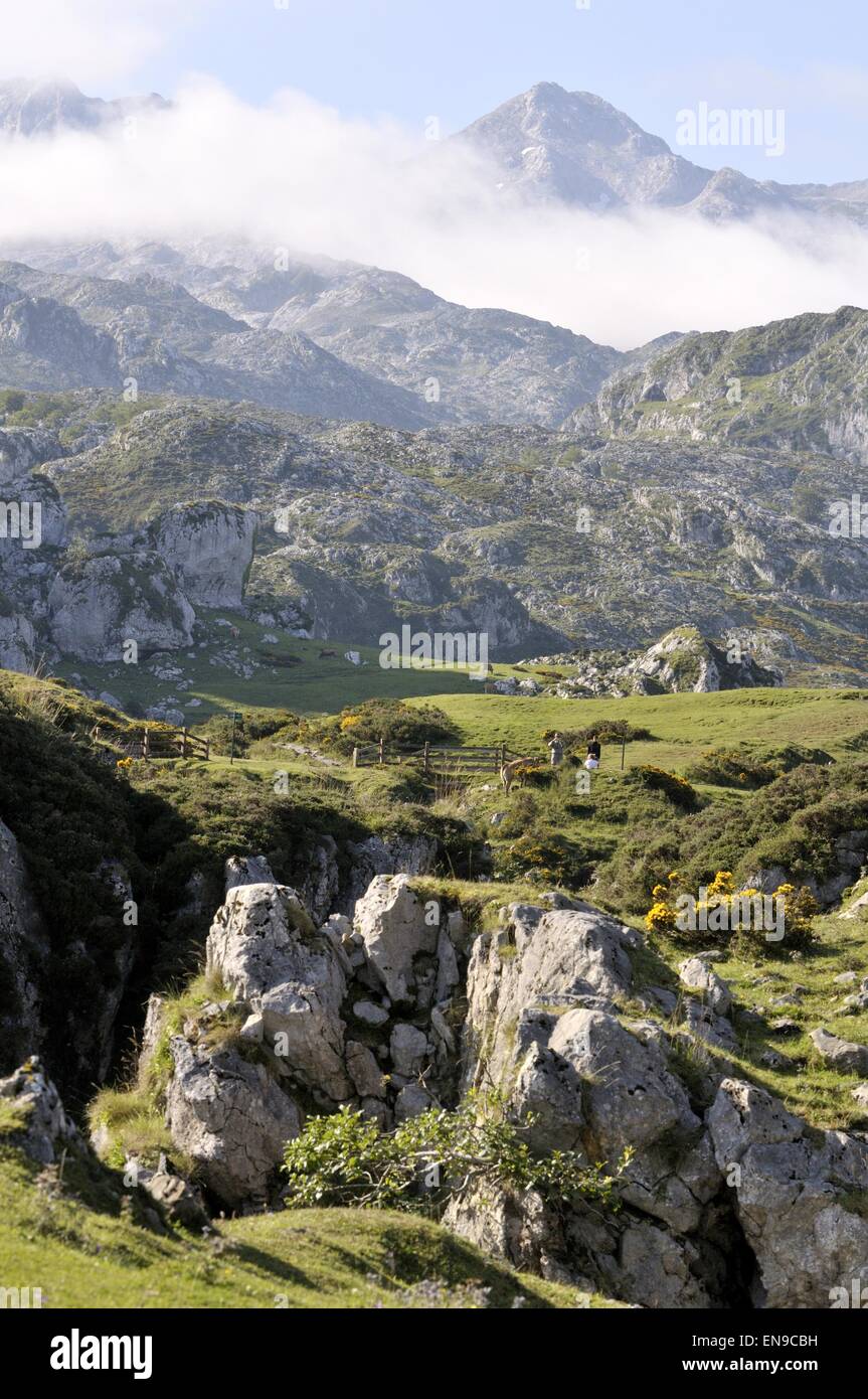 Picos de Europa National Park. Covadonga Lakes area. Cangas de Onis
