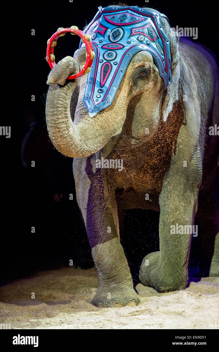 Tambourine High Resolution Stock Photography and Images Alamy