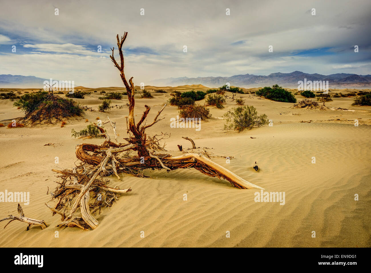 Death valley dunes hi-res stock photography and images - Alamy