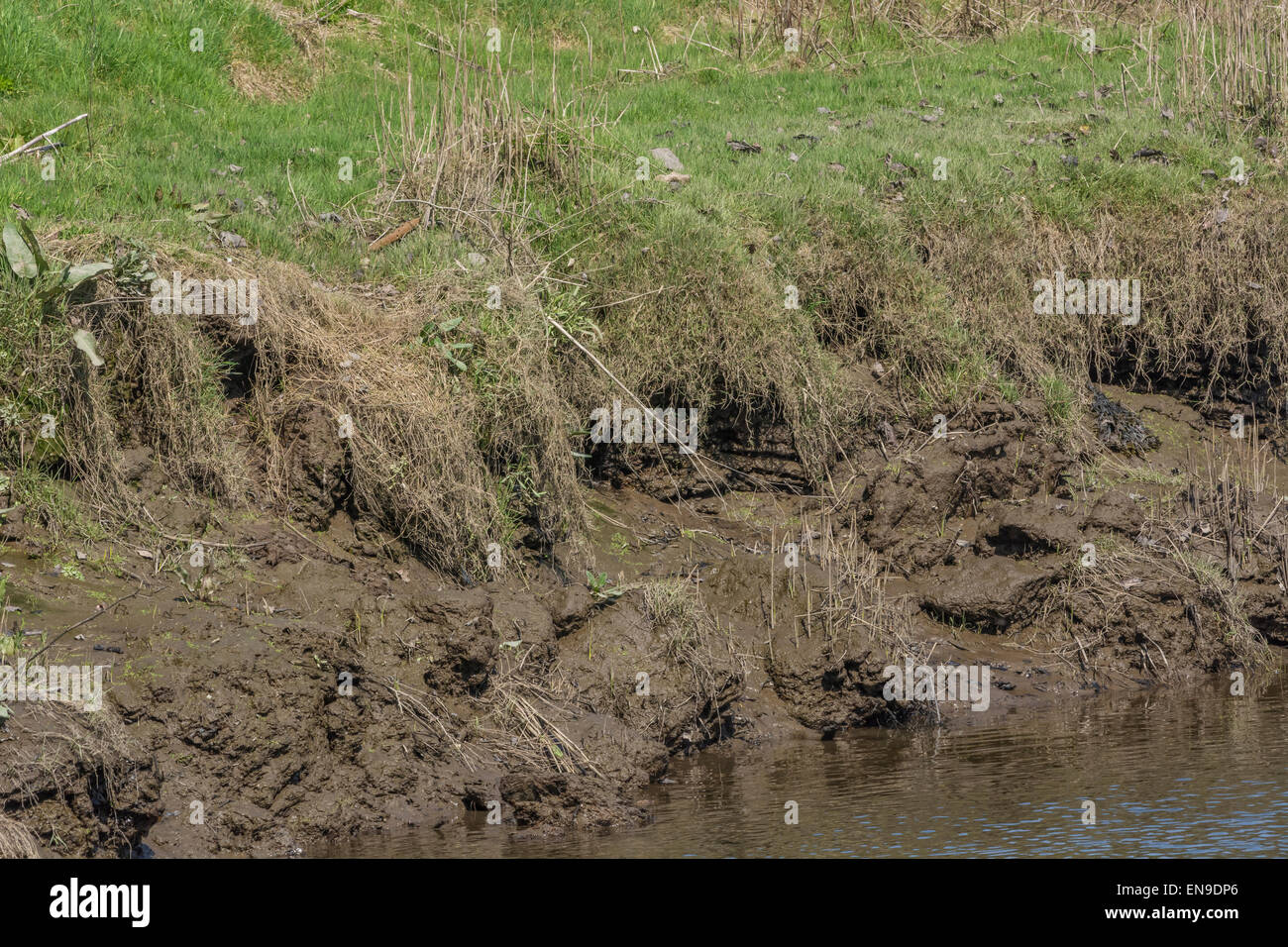 Water Erosion Examples
