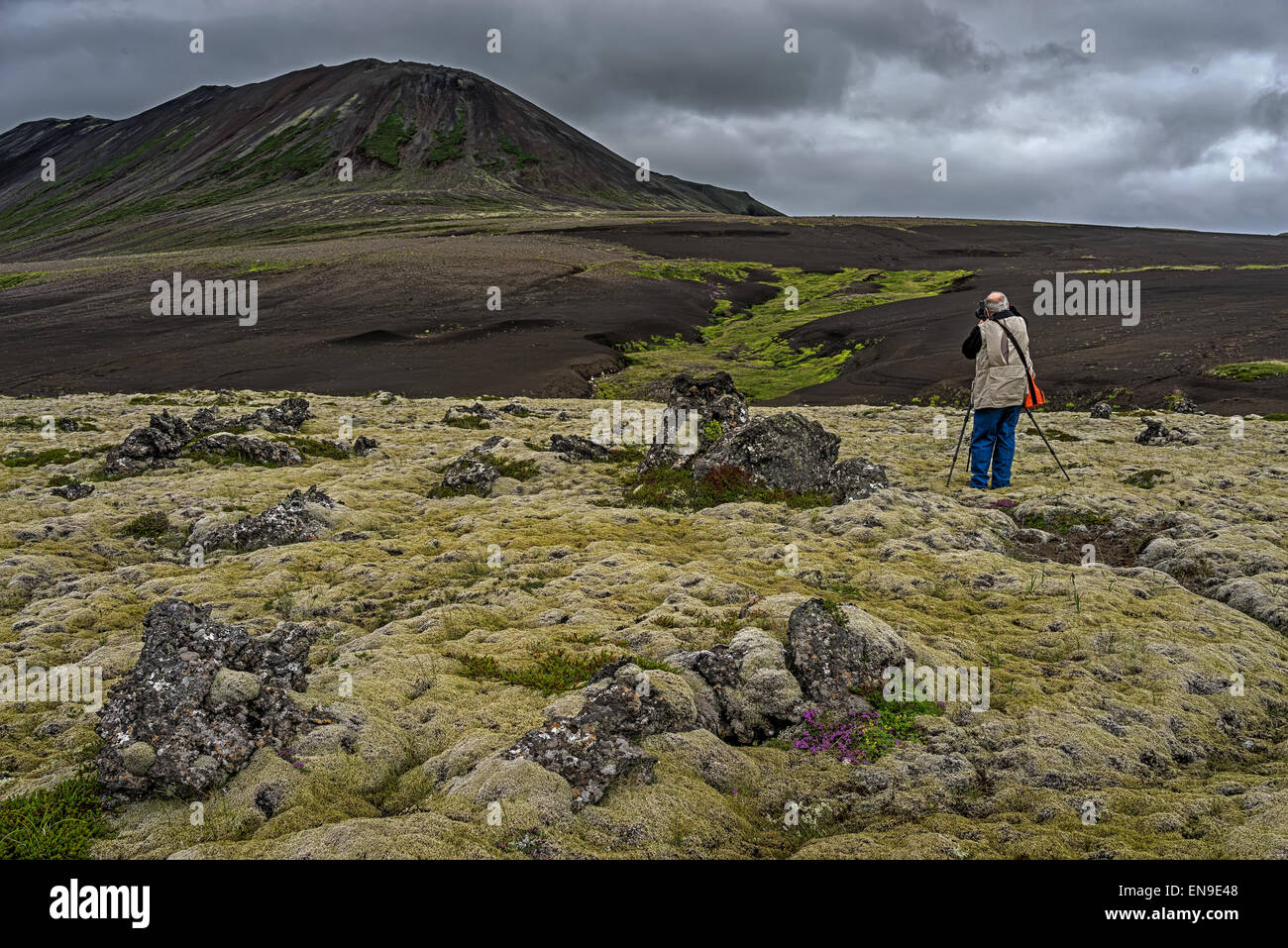 Photographing in the moss and lava fields, Berserkjahraun, Snaefellsnes Peninsula, Iceland Stock Photo