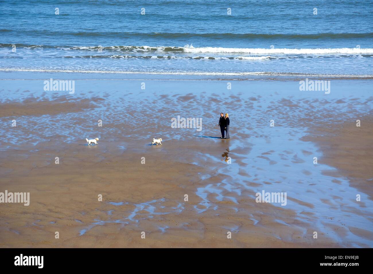 Old couple walking on beach hi-res stock photography and images - Alamy