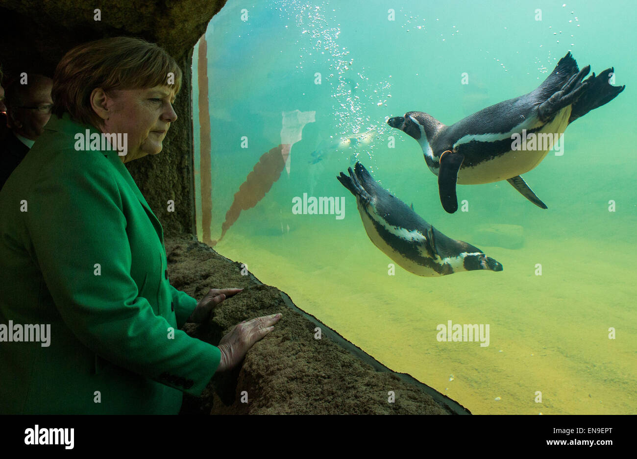 Picture of Vogelpark Marlow