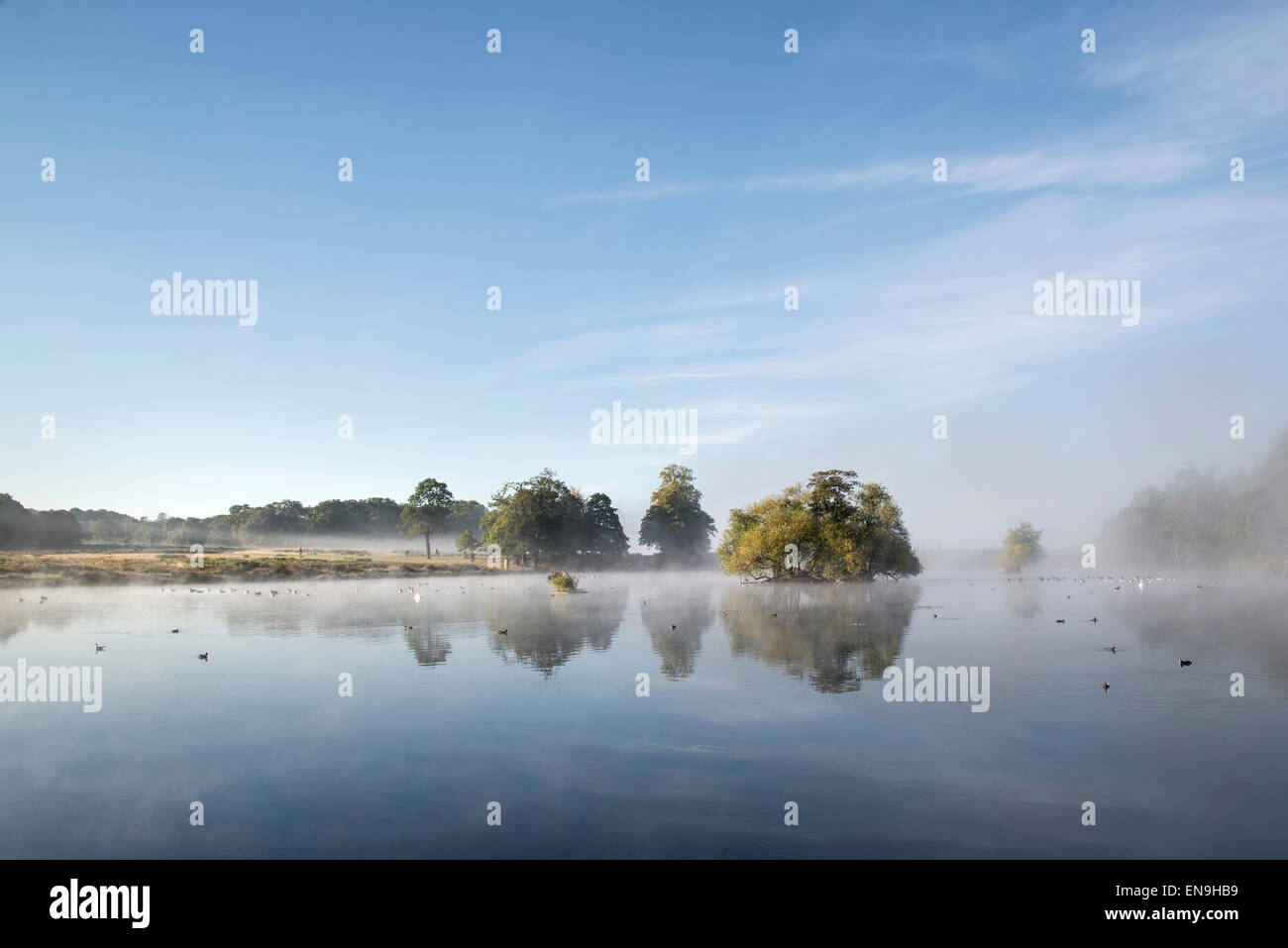 Hanging over water hi-res stock photography and images - Alamy