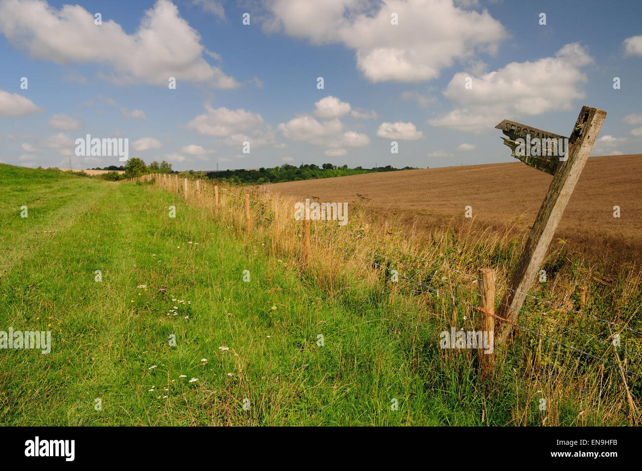 Old leaning fence post hi-res stock photography and images - Alamy