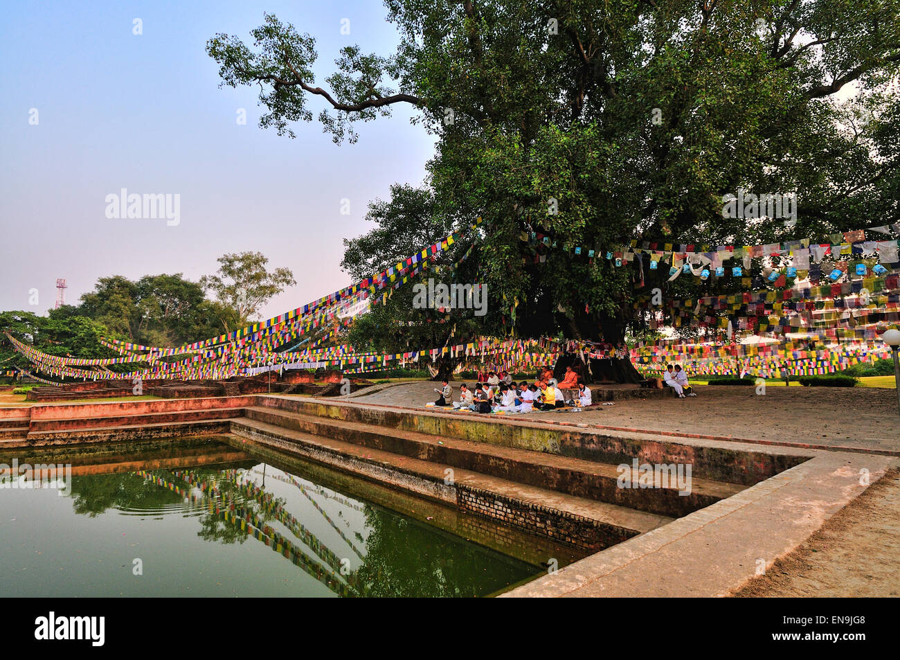 On the south side of the temple is a sacred pool, where it is said Maya Devi bathed before giving birth Stock Photo