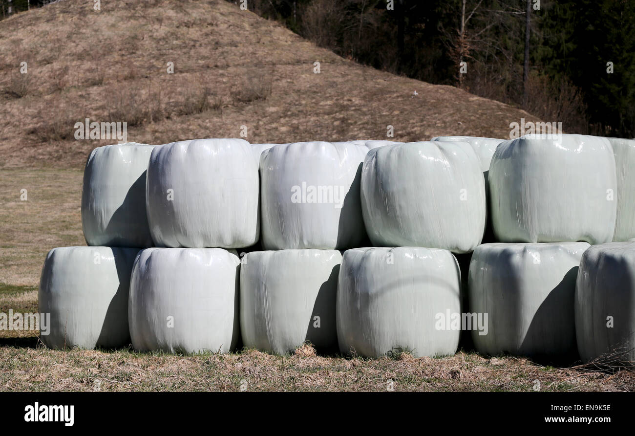 big hay bales wrapped in cellophane in farm field Stock Photo Alamy