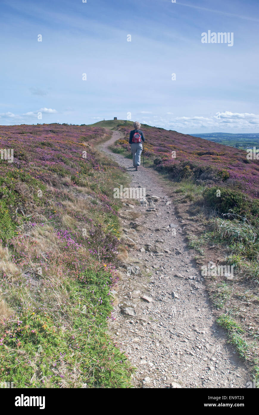 Female walker climbing path towards St Agnes Beacon near Redruth, mid Cornwall, south west England, UK. Stock Photo
