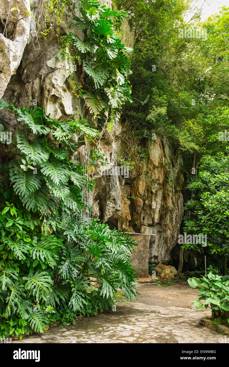 Cuba valley Valle Vinales Palenque de los Cimmarrones entrance to Cueva de San Miguel once refuge runaway slaves cimarrones Stock Photo
