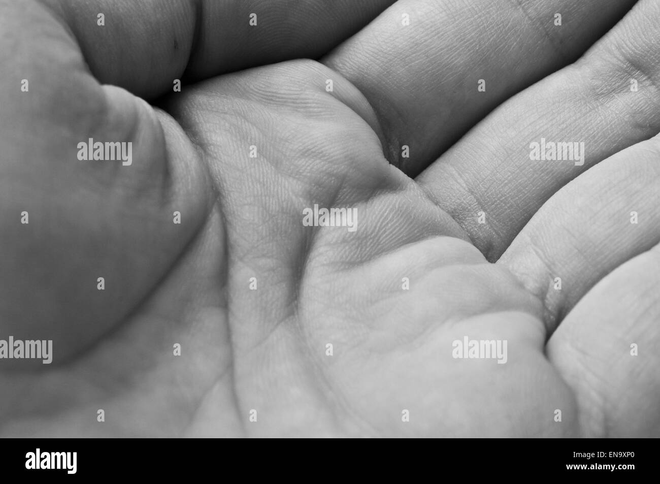 Palm with lines close up in black and white color Stock Photo