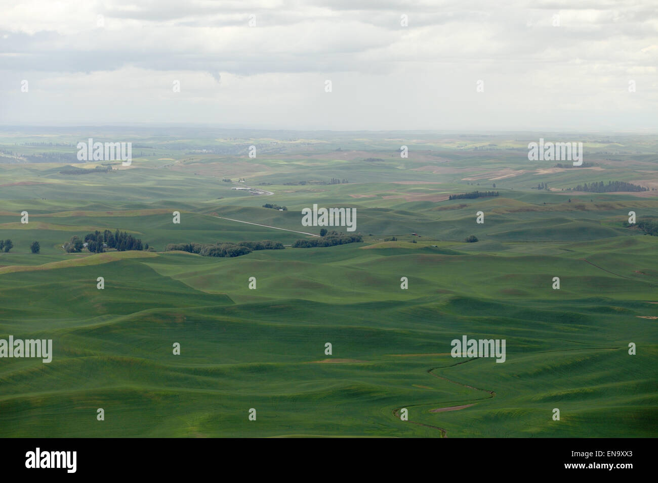A view of the Palouse Valley in Washington state, taken from Steptoe butte. Stock Photo