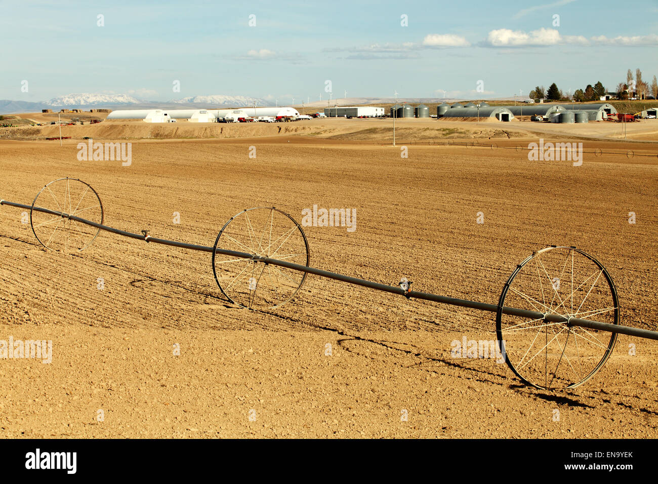 An early morning view of a wheel line sprinkler system. Stock Photo
