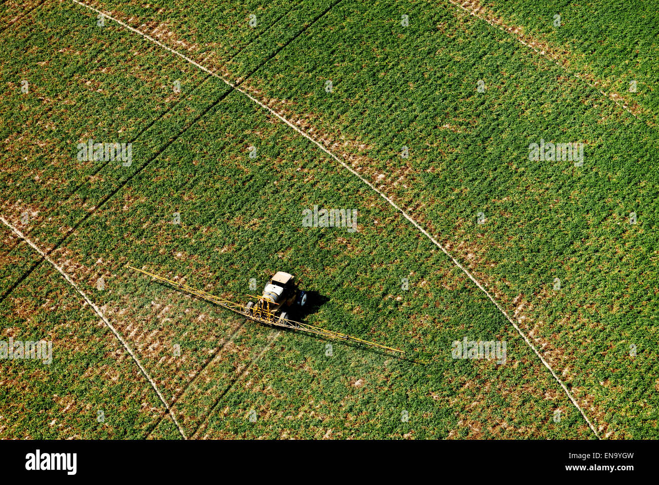 A modern agricultural crop sprayer, spraying chemicals on a farm field. Stock Photo