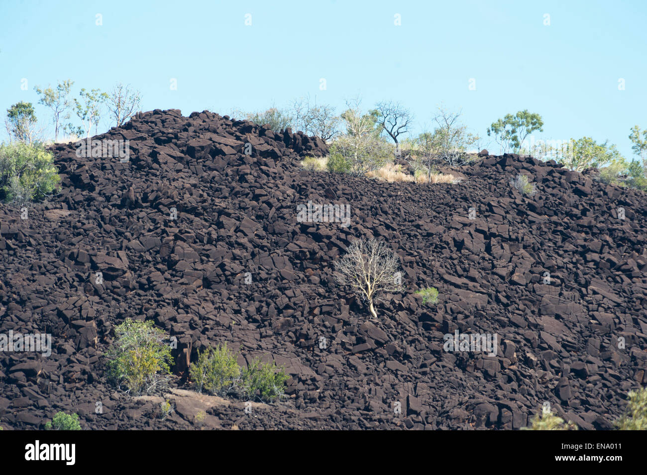 Dolomite Rock Outcrops, Mt Hart, Kimberley, Western Australia, WA, Australia Stock Photo