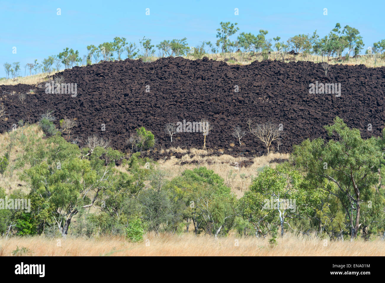 Dolomite Rock Outcrops, Mt Hart, Kimberley, Western Australia, WA, Australia Stock Photo