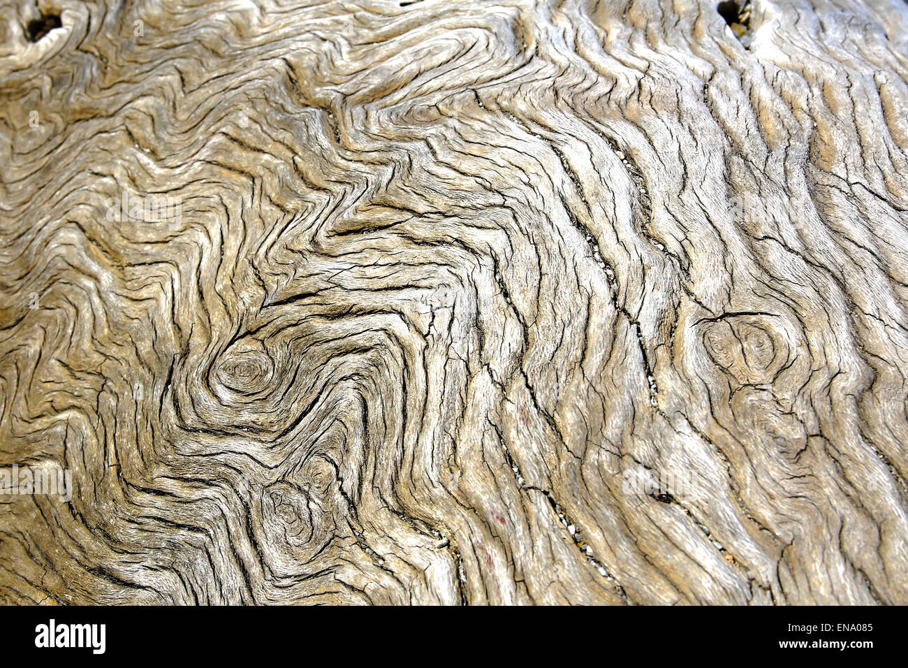 Old bleached driftwood hires stock photography and images Alamy