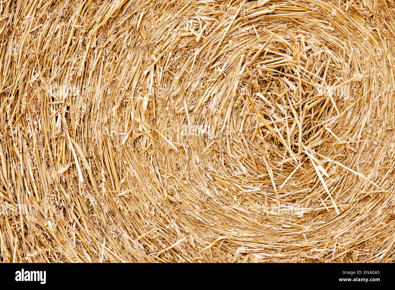 Abstract image of a rolled straw bale Stock Photo - Alamy