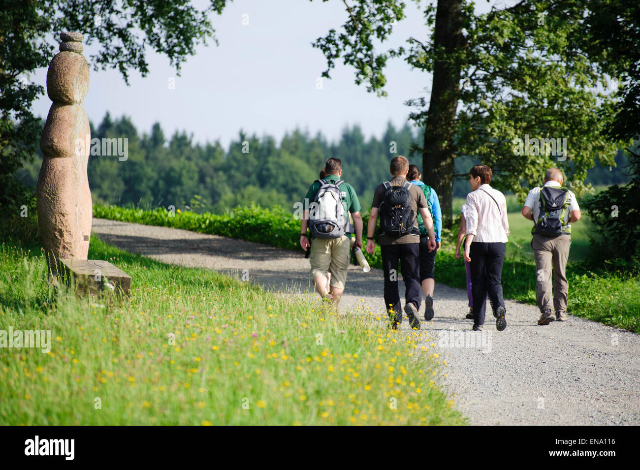 guided walking tour with Ranger in Wald-Michelbach, Odenwald, Hesse, Germany Stock Photo