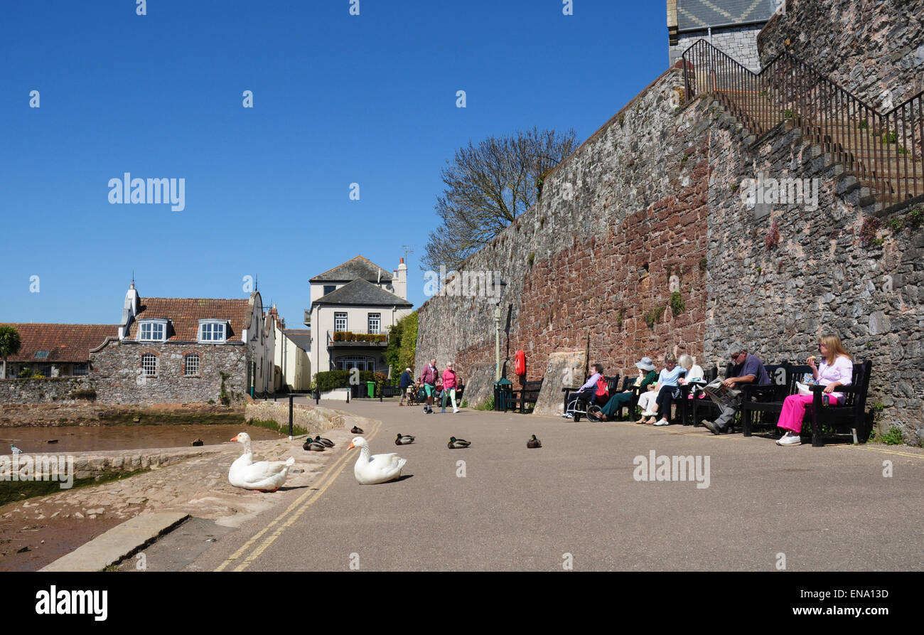 Ferry Road and the Town Wall, Topsham, Devon, England, UK Stock Photo