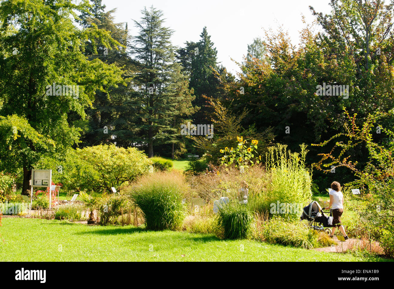 Botanischer Garten, Darmstadt, Hessen, Deutschland | Botanical Gardens, Darmstadt, Germany Stock Photo