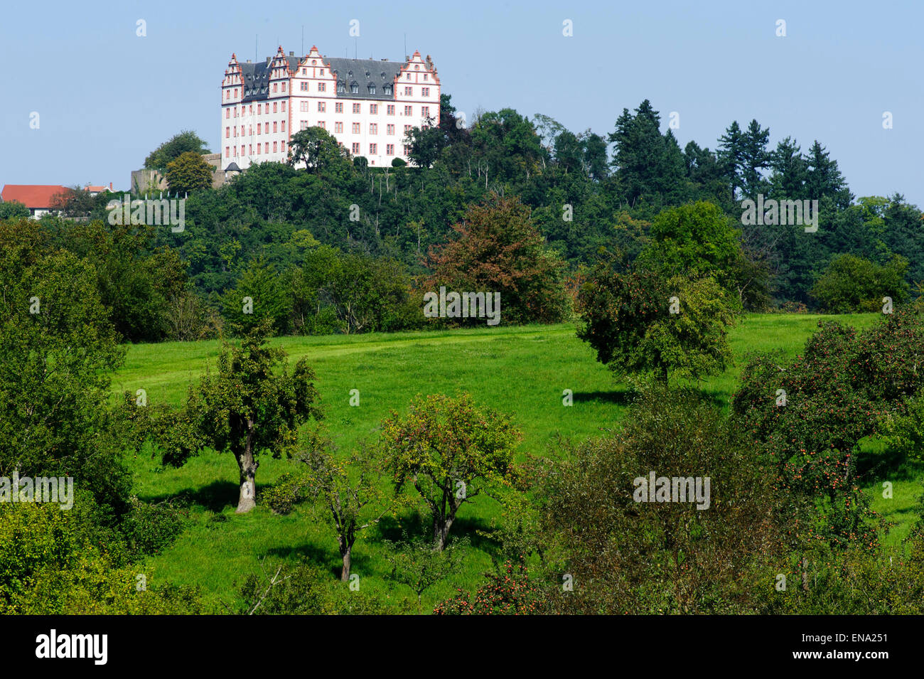 Castle Lichtenberg, Niedernhausen, Fischbachtal, Odenwald, Hesse, Germany Stock Photo