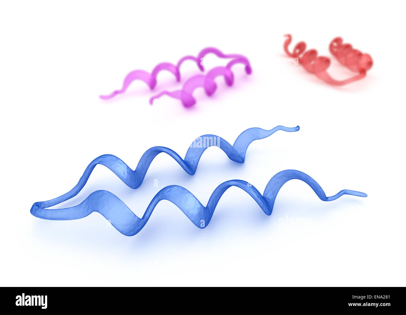 3d model molecule amino acid hi-res stock photography and images - Alamy