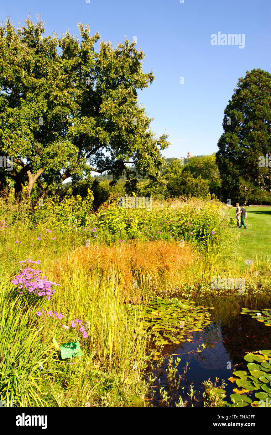 Garden Hermannshof, Weinheim, BadenWurttemberg, Germany Stock Photo