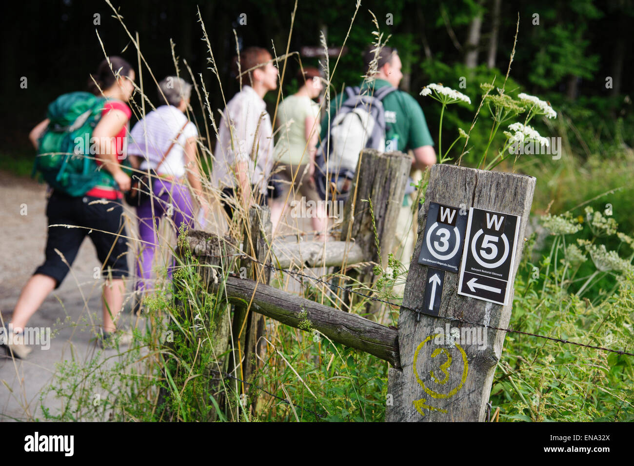 walking trail in Wald-Michelbach, Odenwald, Hesse, Germany Stock Photo