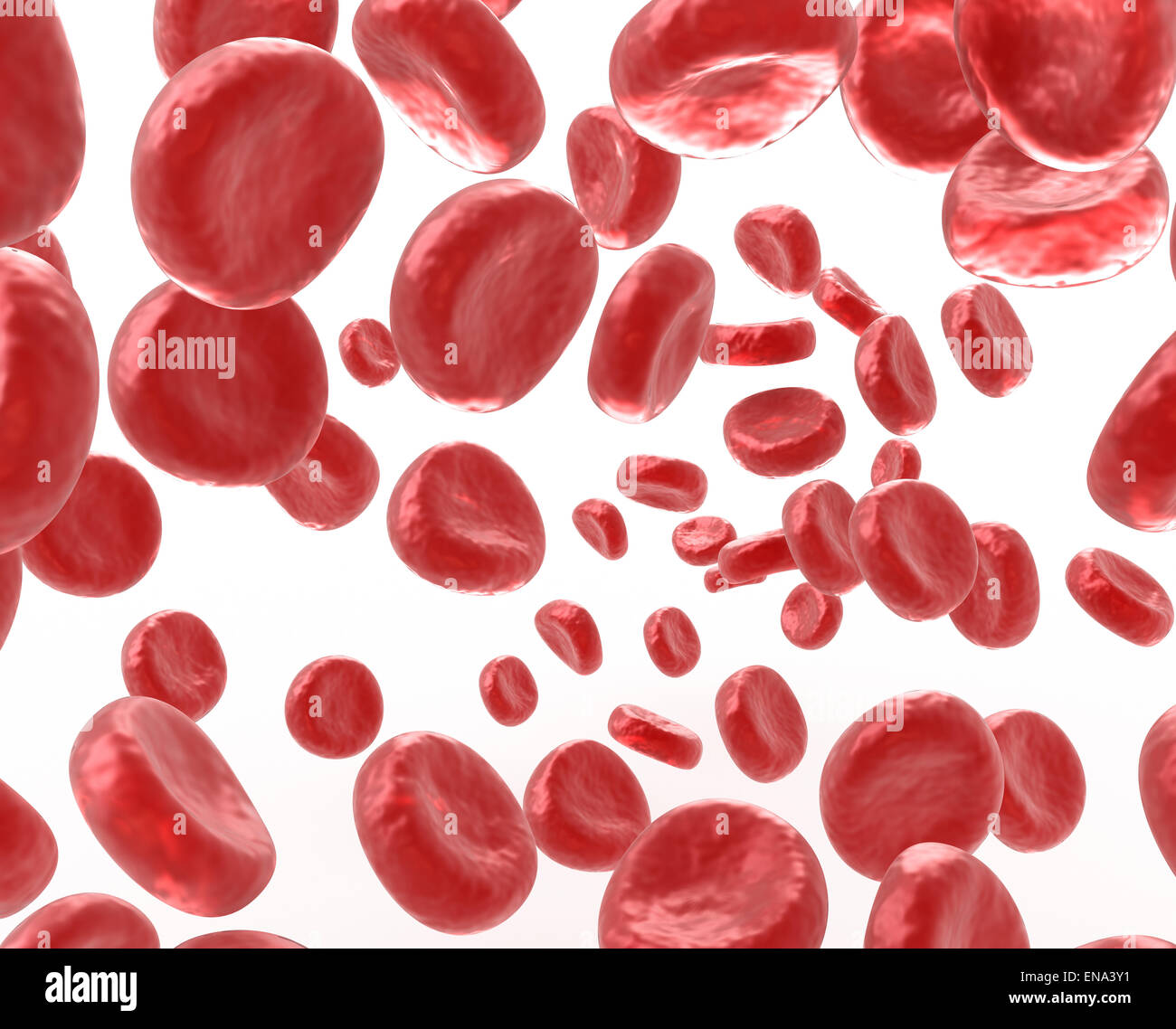 Blood cells on white background Stock Photo