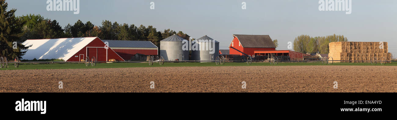 A freshly planted wheat field with irrigation equipment, and farm buildings in the background Stock Photo
