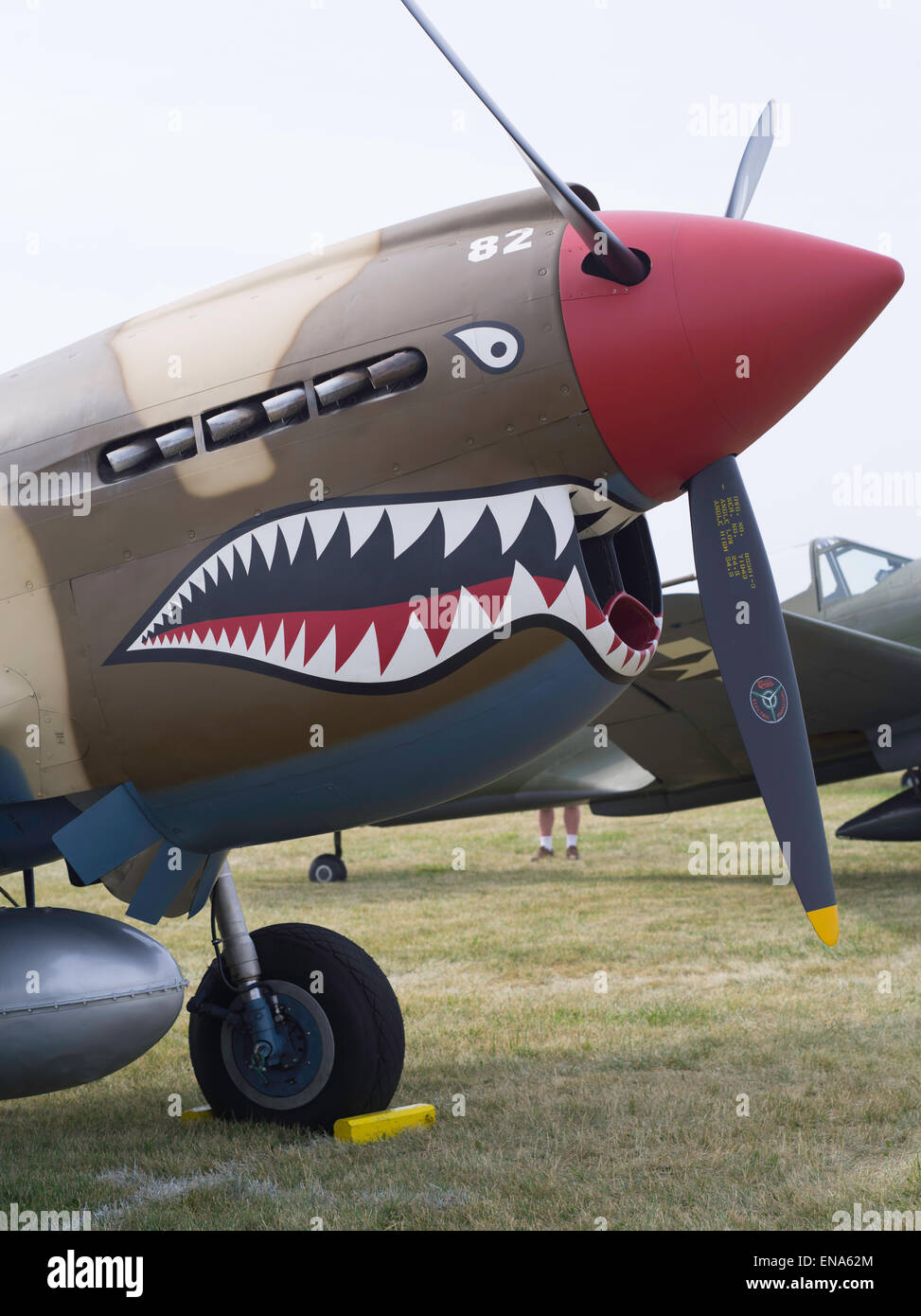 The front end of a P-40 Warhawk on display at the EAA Airventure, Oshkosh, WIsconsin. Stock Photo