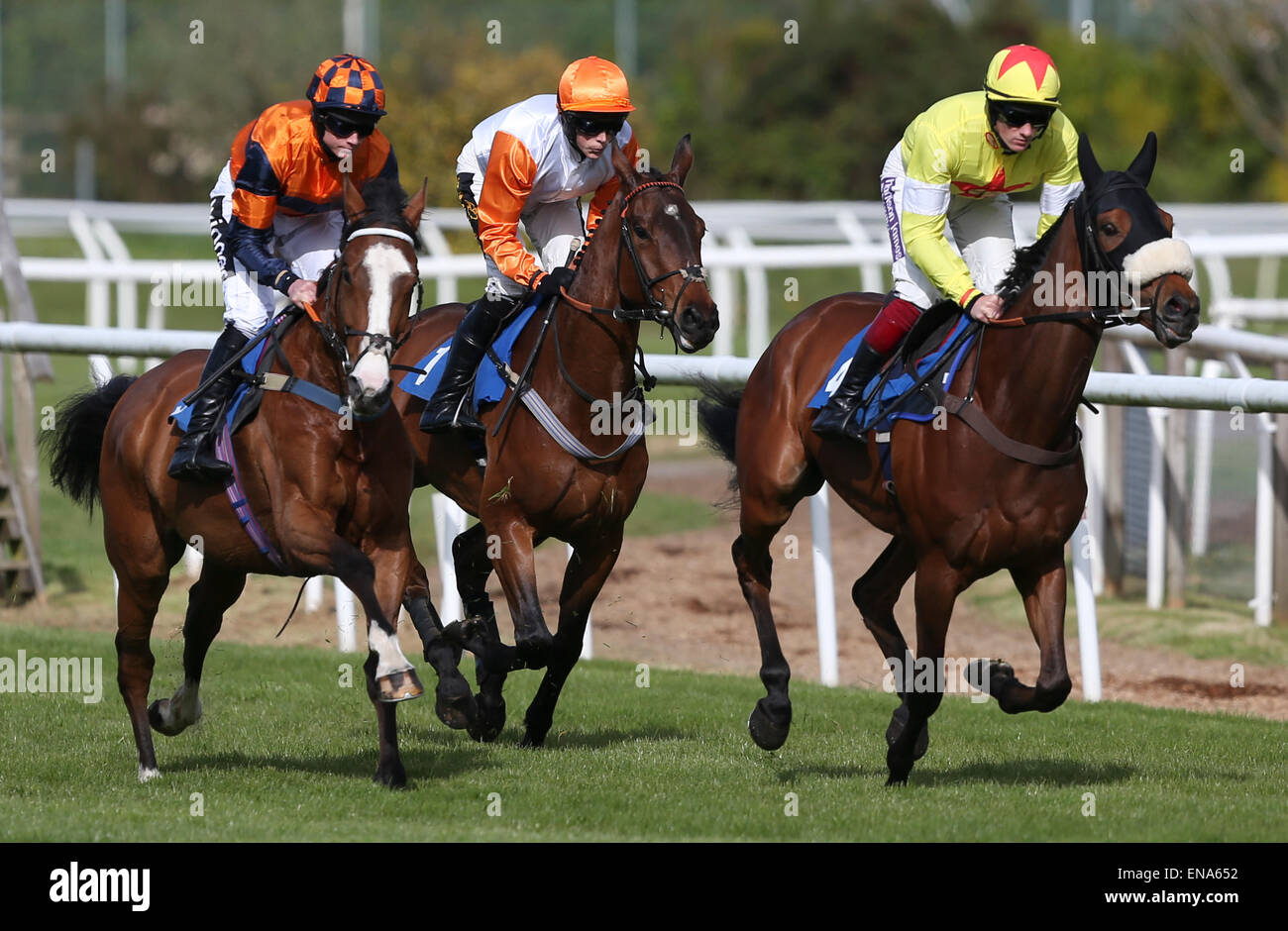 Newtown Races England Newton abbot races hi-res stock photography and images - Alamy