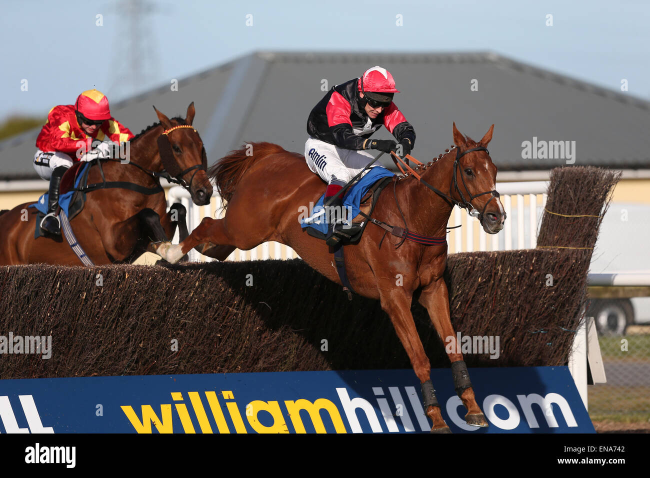 Newtown Races England Newton abbot racecourse hi-res stock photography and images - Alamy