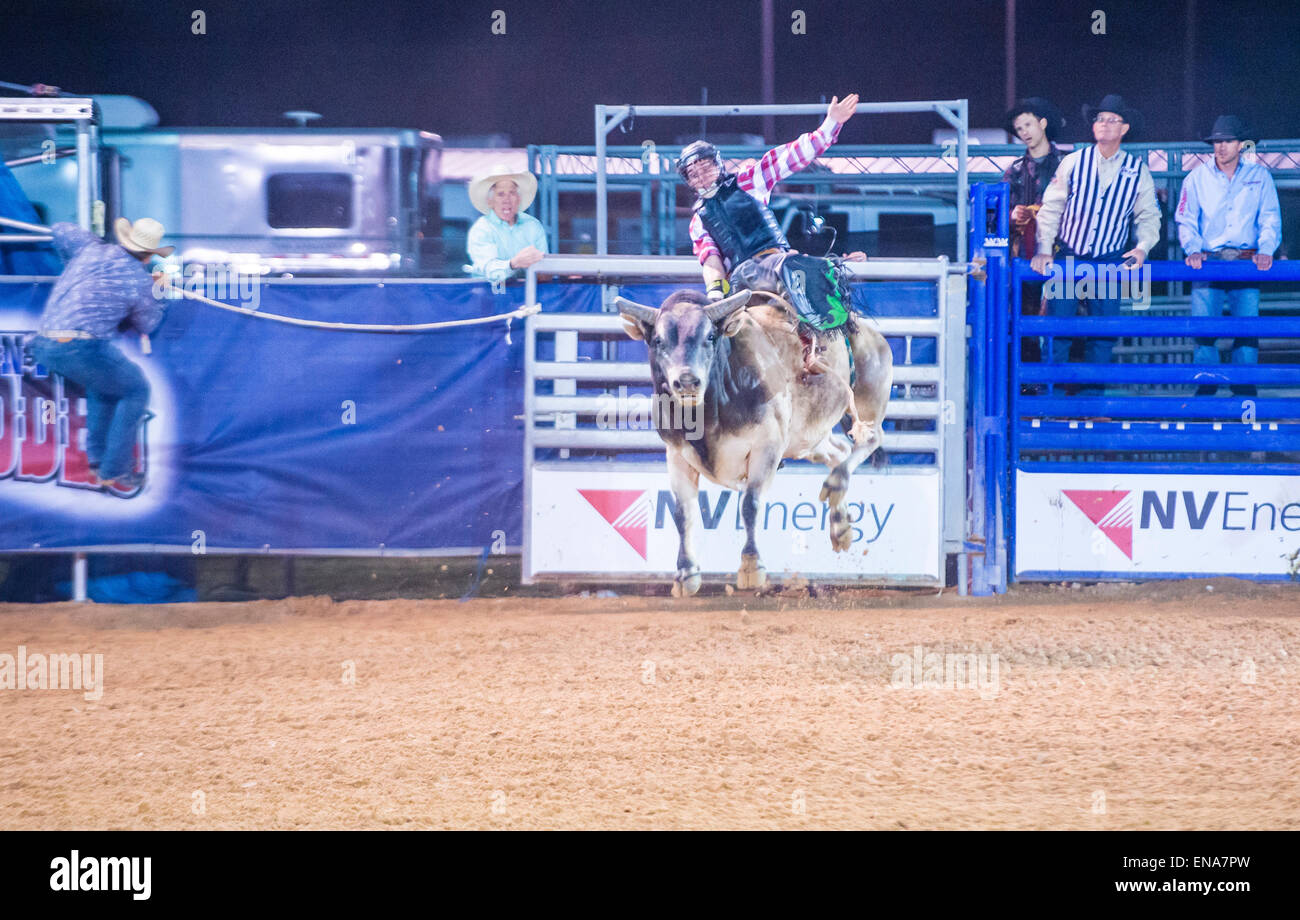 Cowboy Participating in a Bull riding Competition at the Clark County ...