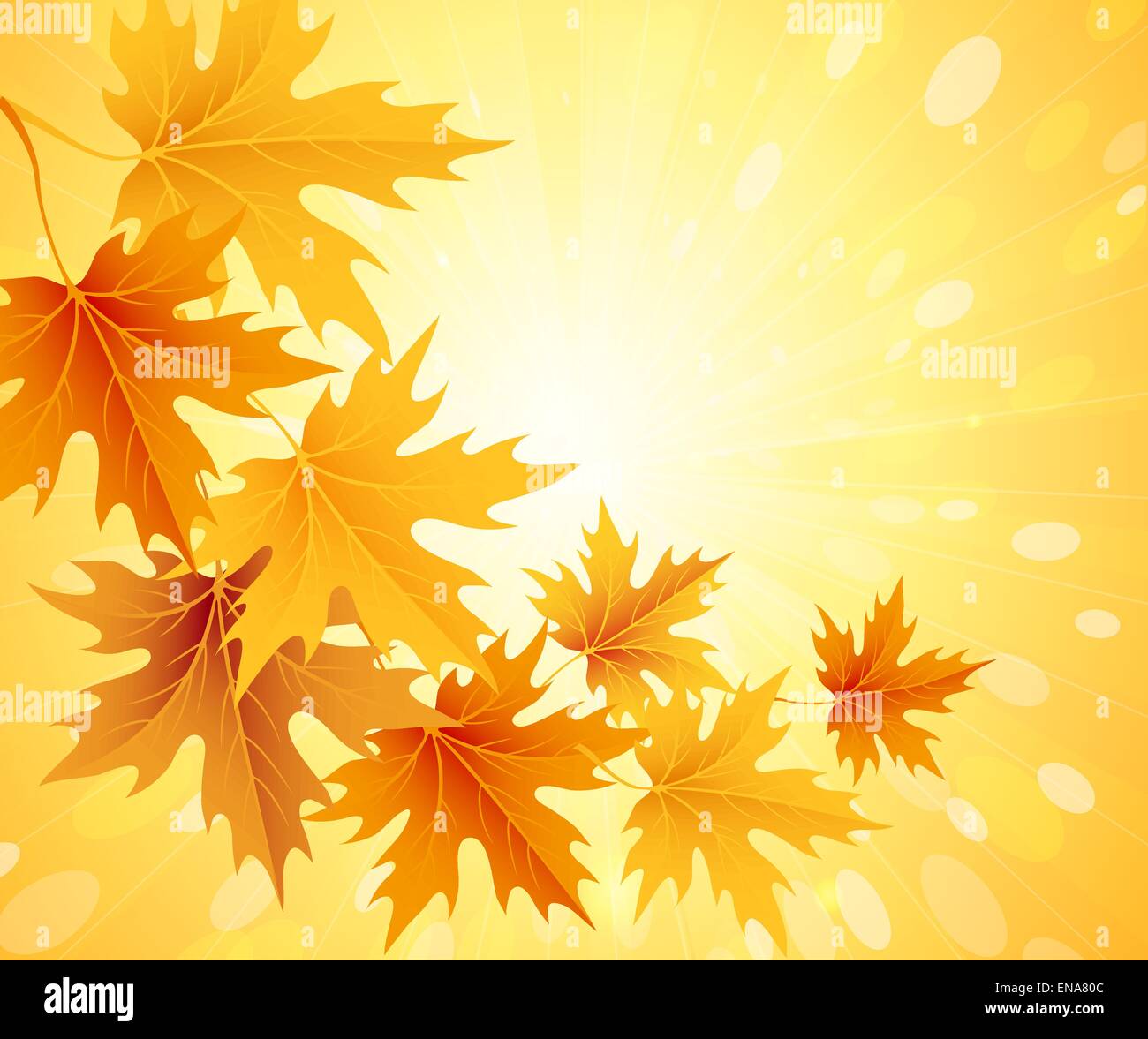 Autumn leaves background. Vector illustration EPS 10 Stock Vector Image ...