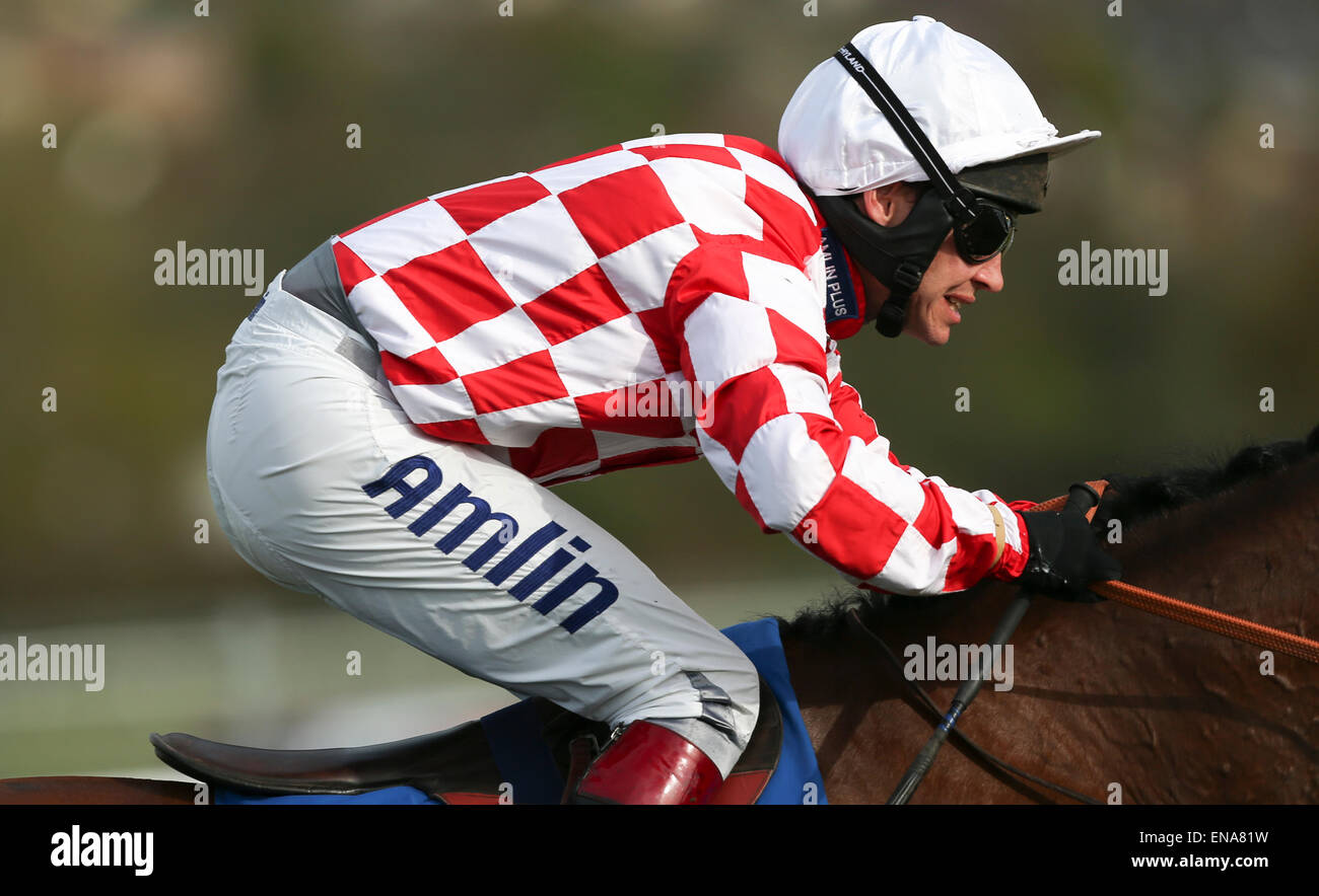 Newtown Races England Newton abbot races hi-res stock photography and images - Alamy