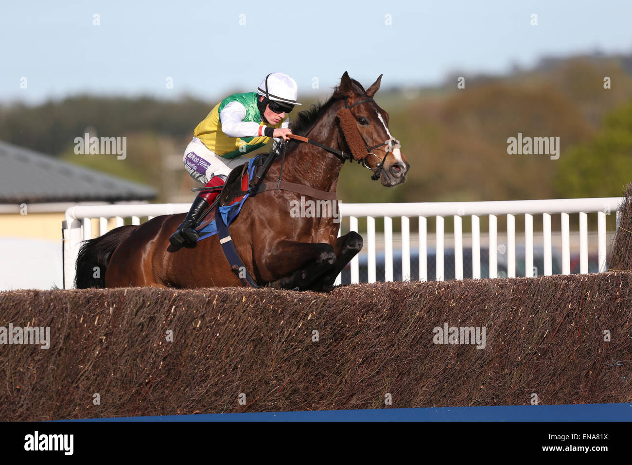 Newtown Races England Newton abbot races hi-res stock photography and images - Alamy