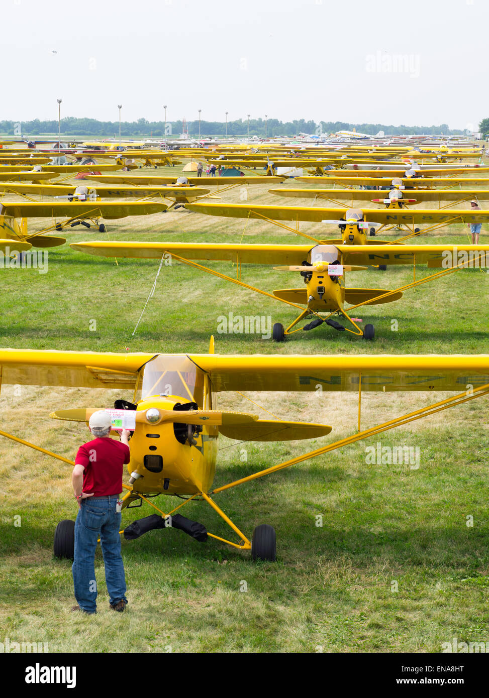 Piper J-3 Cubs on display at the EAA Airventure airshow, Oshkosh, Wisconsin. Stock Photo