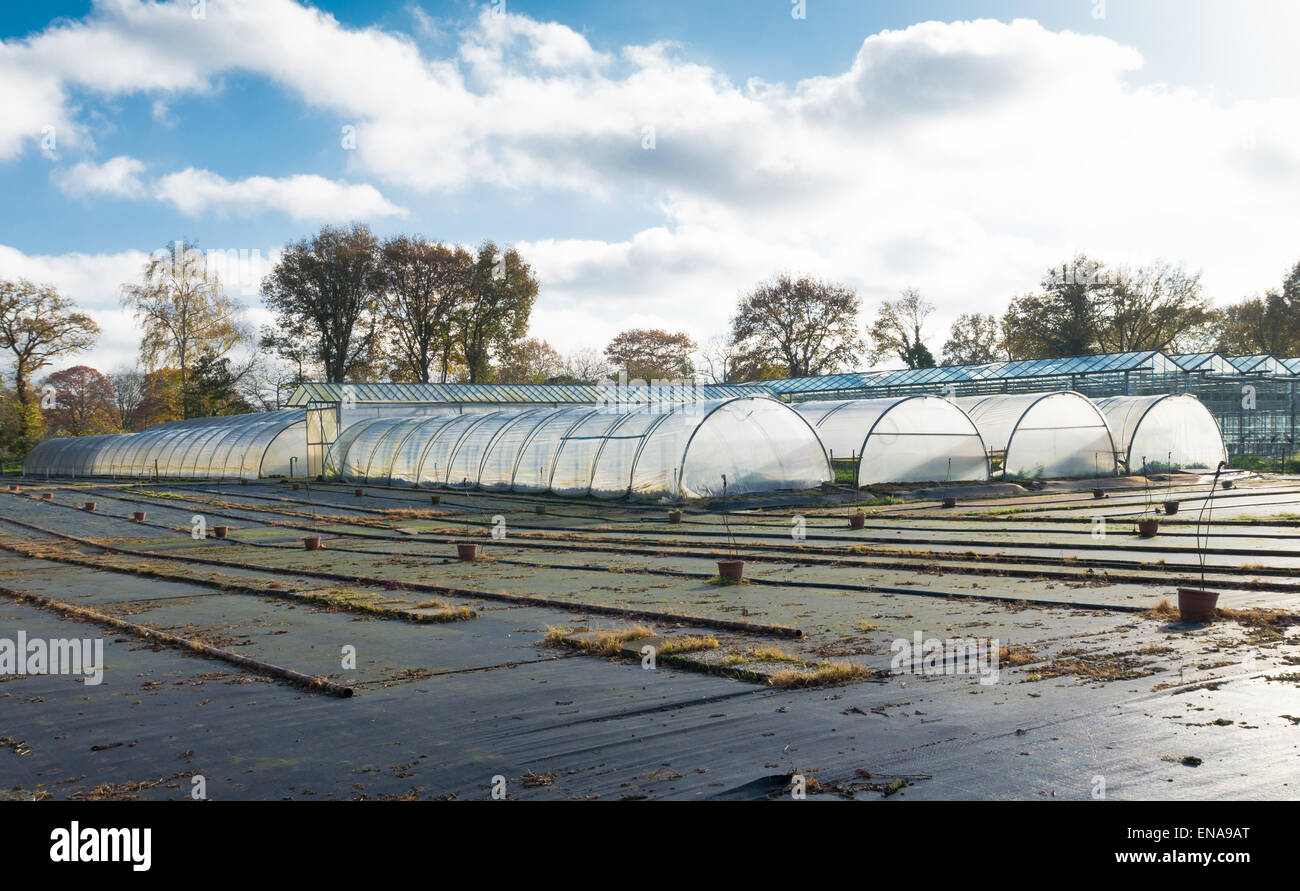 rows of plastic greenhouses under an evening sky Stock Photo