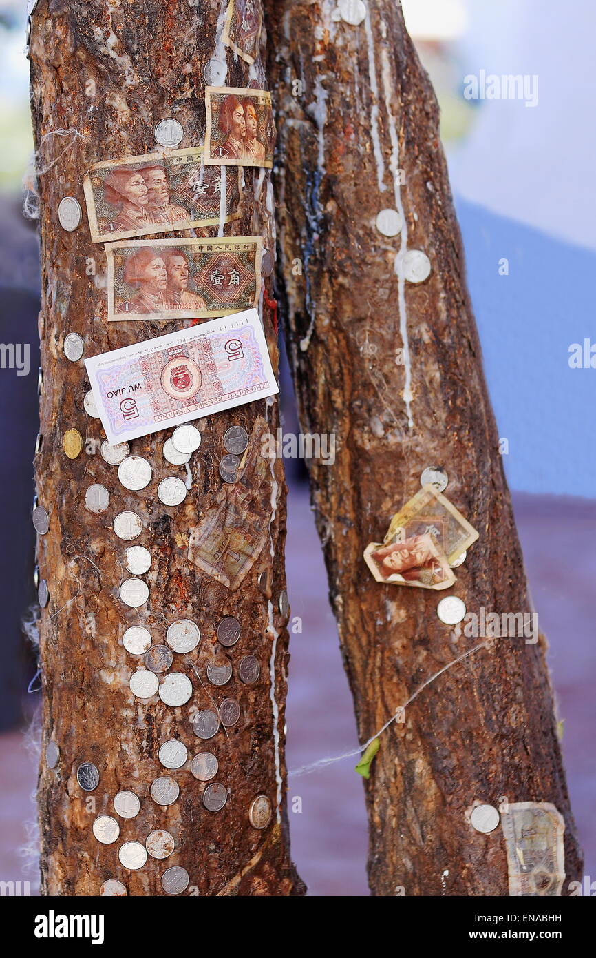 Tree trunks with chinese money offeringsbank notes and coins glued to their bark on the outside