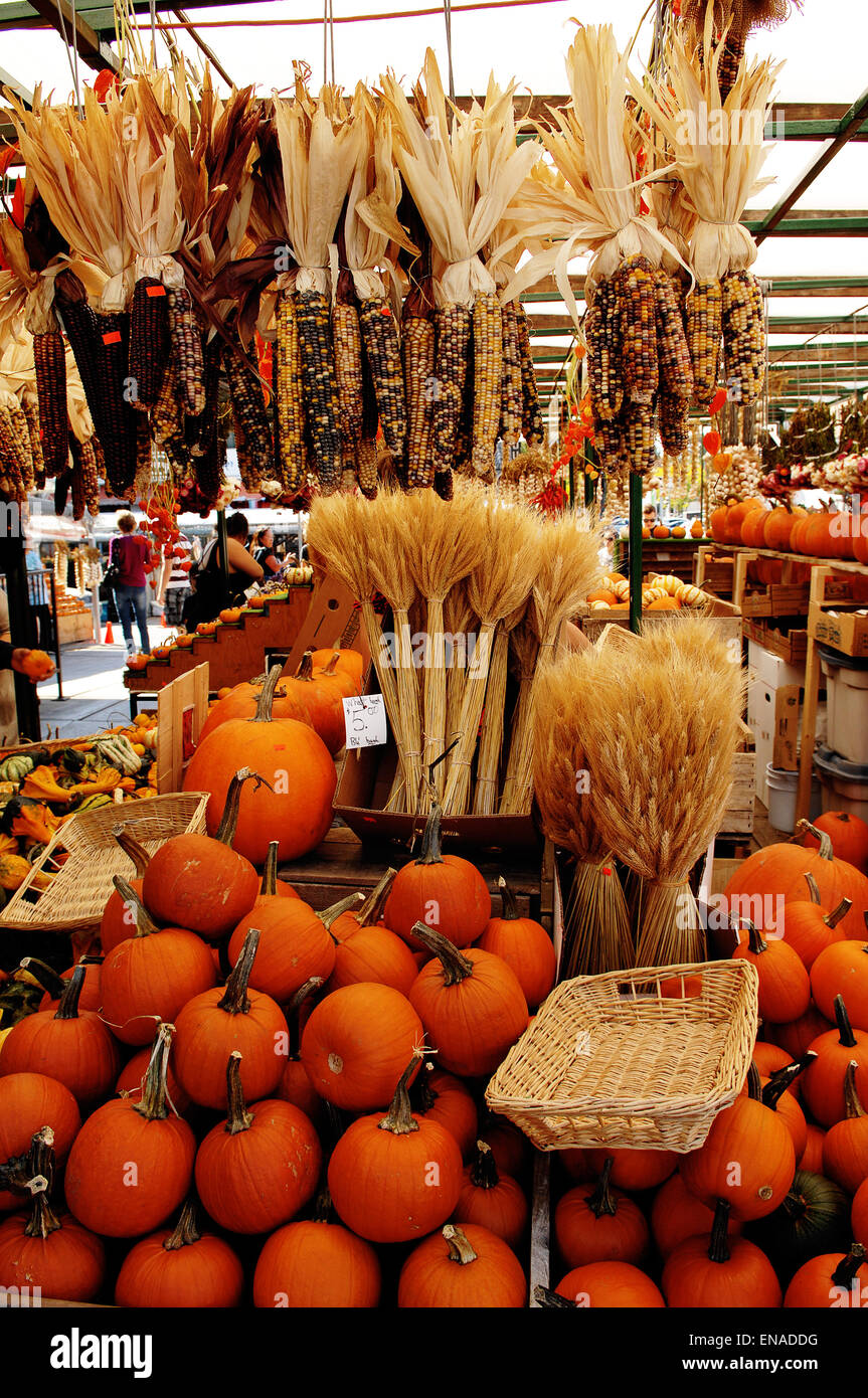 A stall with big pumpkins and colorful corn on a farmers market in ...