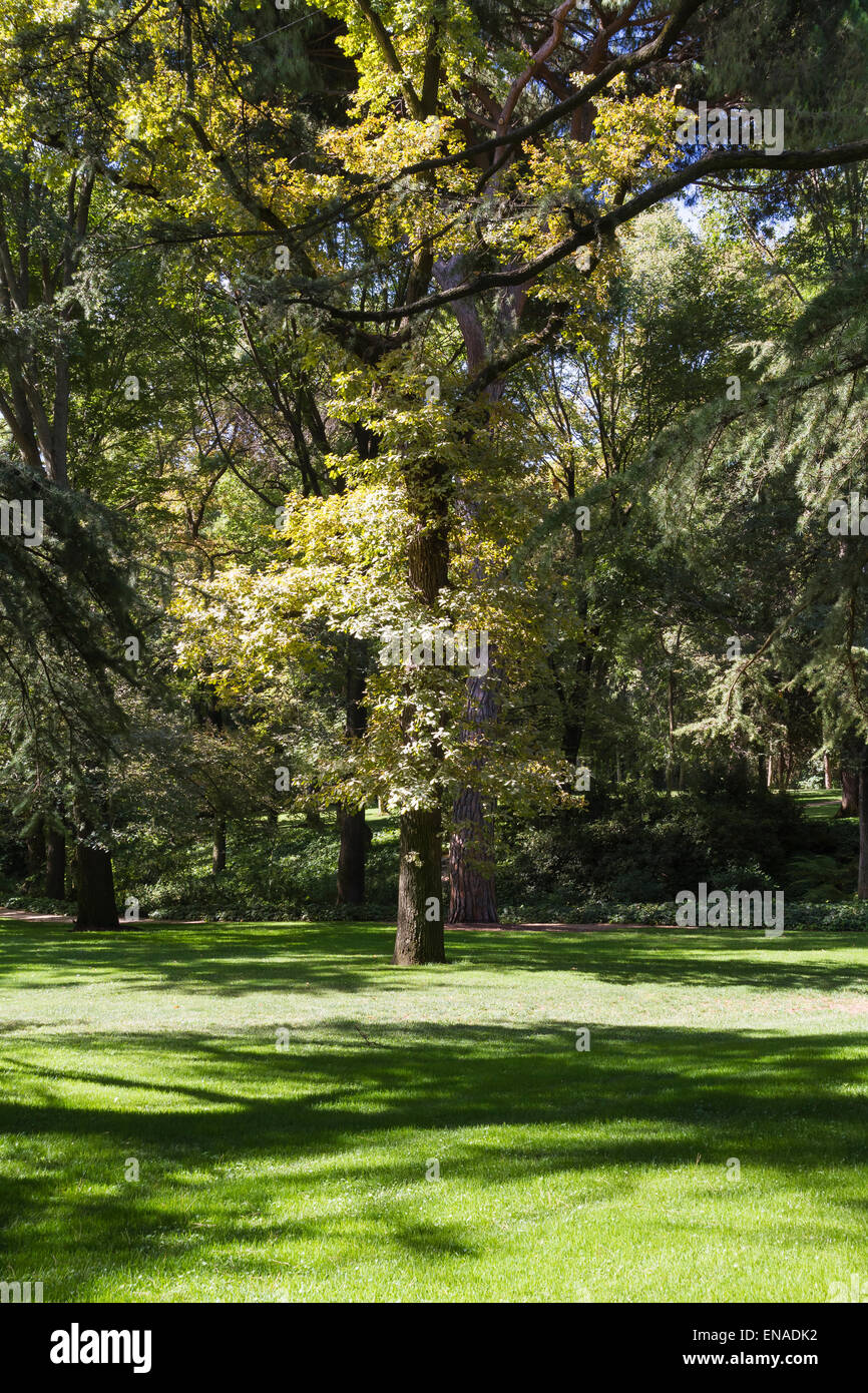 landscape, beautiful park with leafy trees Stock Photo - Alamy