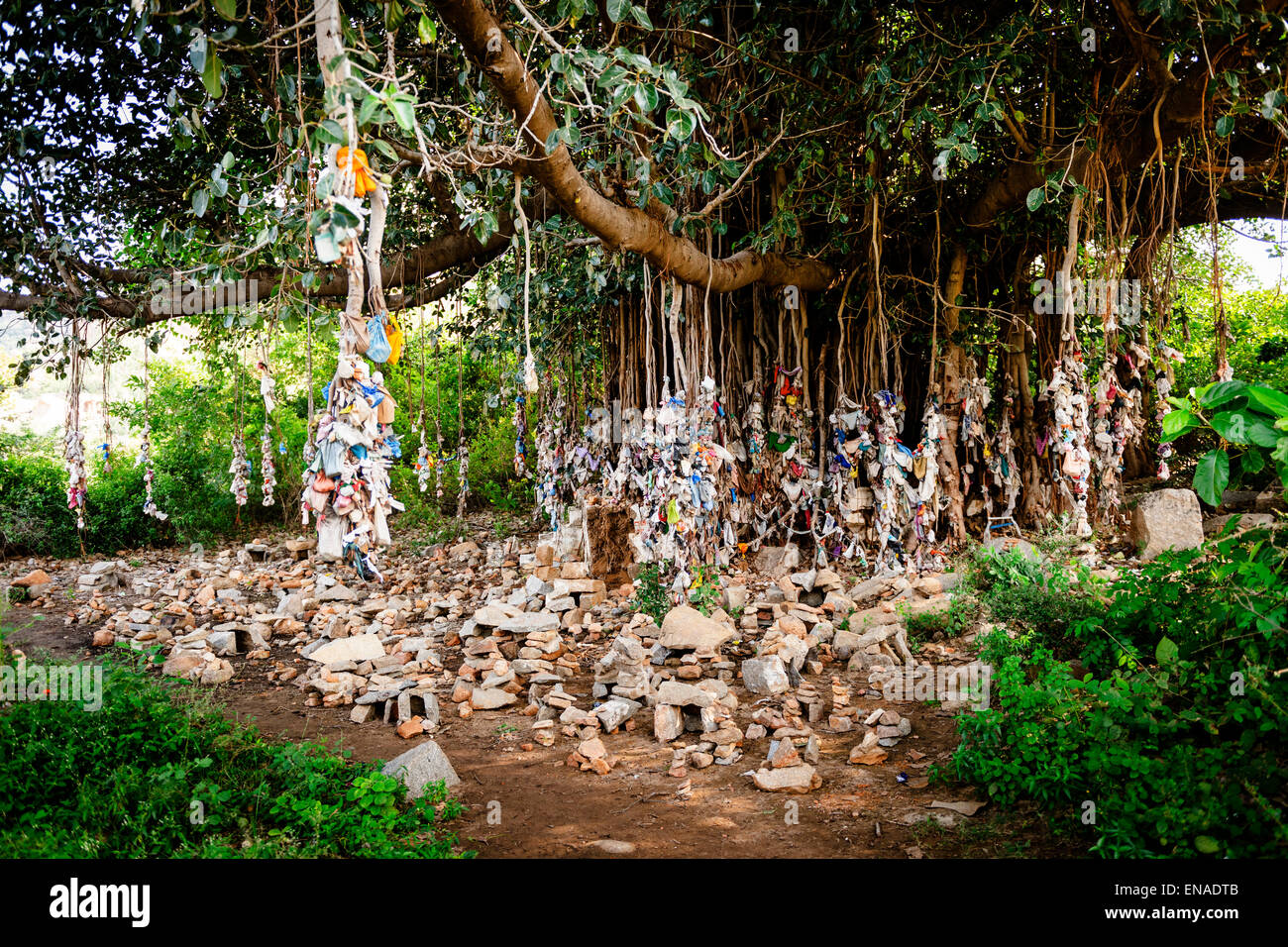 Offerings hanging off the roots of a banyan tree in Hampi Stock Photo